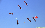 32 FESTIVAL CERVIA 2012 - 216